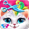 Cat Hair Salon