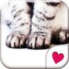 Cat Hands[Homee ThemePack]