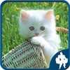 Cat Jigsaw Puzzles