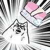Cat No Wash!