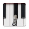 Cat Piano