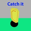 Catch It