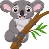 Catch The Koalas