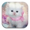 Cats Puzzle