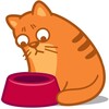 CatsWidget