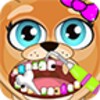 Celebrity Dentist Office Pets Free