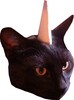 Chat Licorne
