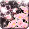 Cheery Blossom Mystic [ ]HOME