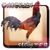 Chicken Fighter Indonésia