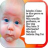 Chistes Y Frases Divertidas