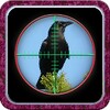 City Crow Hunting 3D