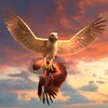 Clan Of Eagle