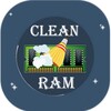 Clean Ram