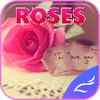 CM Launcher Roses