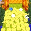 Coin Fever