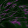 Color Dragon L. Wallpaper FREE