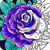 Coloring Book