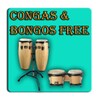 Congas E Bongos