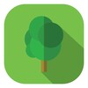 Consejos De Cómo Cuidar Plantas Y Jardines