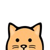CopyCat