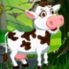 Cow Caring
