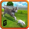 Crazy Cat Vs. Mouse 3D