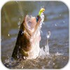 Crazy Fishing