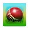 Cricket 3D