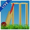 Cricket Buzz