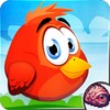 Cute Bird