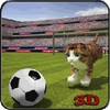 Cute Cat Stunts Show