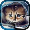 Cute Cats Jigsaw Puzzle