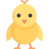 Cute Chicks Puzzle