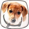 Cute Dogs Live Wallpaper