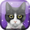 Cute Kitty Live Wallpaper