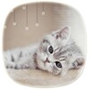 Cute Kitty