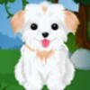 Cute Puppy Caring