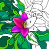 Daily Color