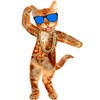 Dancing Cat