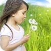 Dandelion Girl