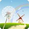 Dandelion Live Wallpaper