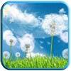 Dandelion LiveWallpaper
