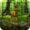Dawn Forest 3D