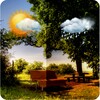Day Weather