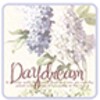 Daydream3 Go Launcher EX