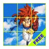 DBZ Puzzle Game