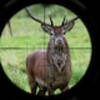 Deer Hunt: Rifle Shot Free