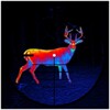 Deer Hunter