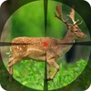 Deer Hunting 2020