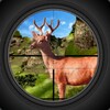 Deer Hunting Arena 2015